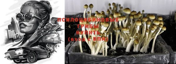 Альфа ПВП Волоколамск